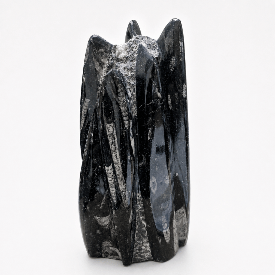 Orthoceras Fossil Free Form Tower For Wisdom & Past-Life Connection