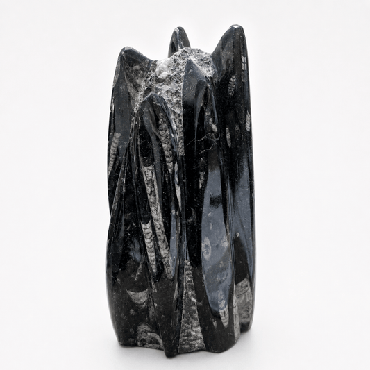 Orthoceras Fossil Free Form Tower For Wisdom & Past-Life Connection