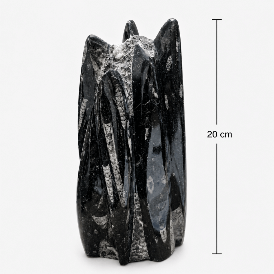 Orthoceras Fossil Free Form Tower For Wisdom & Past-Life Connection