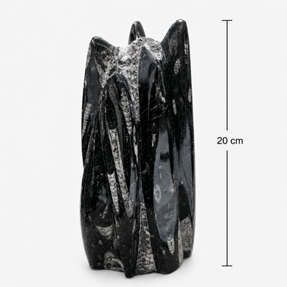 Orthoceras Fossil Free Form Tower For Wisdom & Past-Life Connection