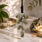 Pyrite Wealth Hanging