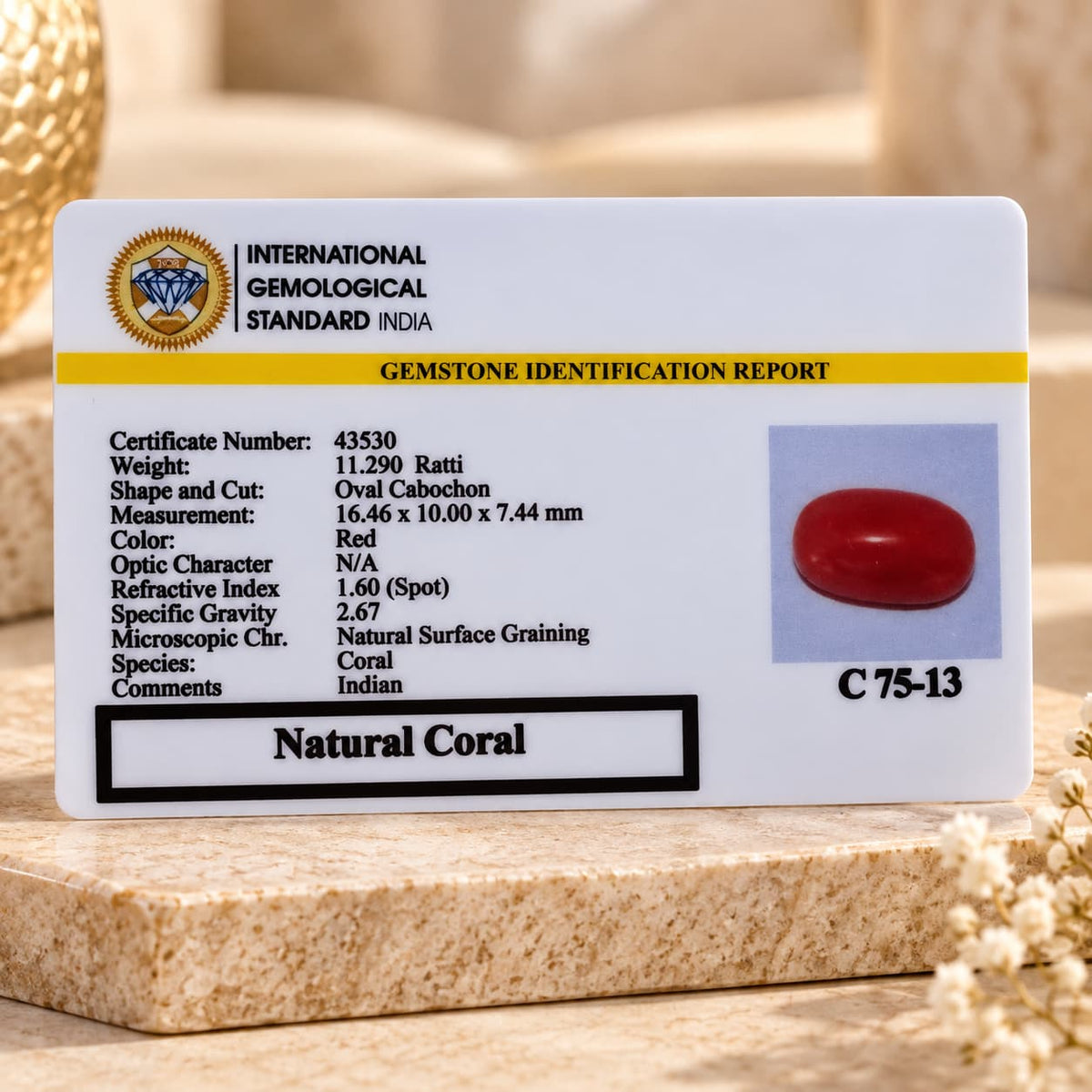 Certified Red Coral Ring To Protects Against "Black Magic"