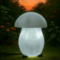 Selenite Mushroom Shape Lamp For Energy Cleansing, Calmness & Positive Vibes