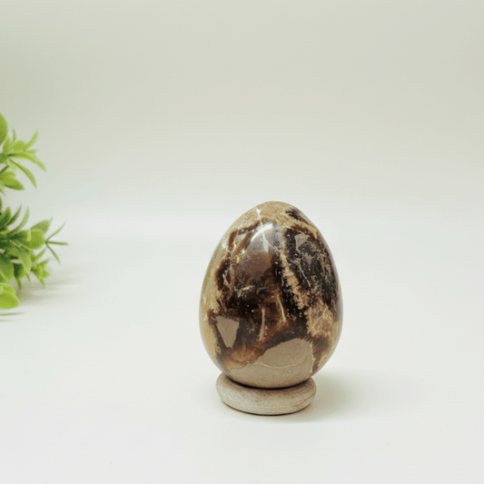 Septaria Egg For Wisdom