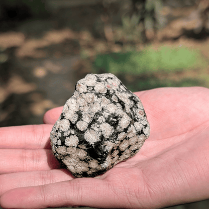 Snowflake Obsidian crystal for grounding, emotional healing, and mental calm.