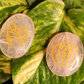Rose Quartz Relationship Number Duo For Promoting Harmony - Dr. Neeti Kaushik's Shop