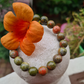 Unakite Bracelet For New Beginnings