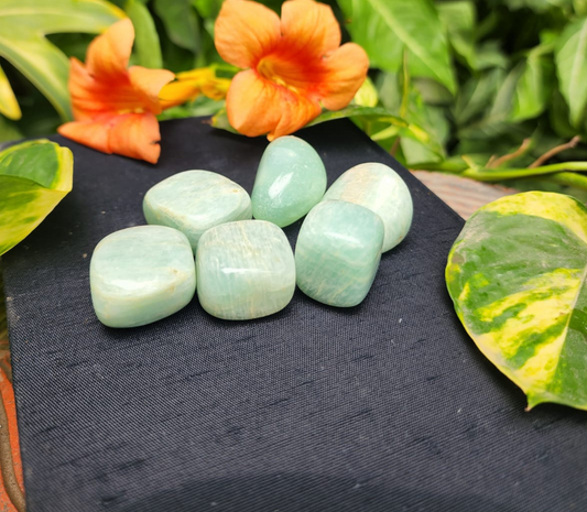Amazonite Tumble Duo For Promotes Positive Vibes