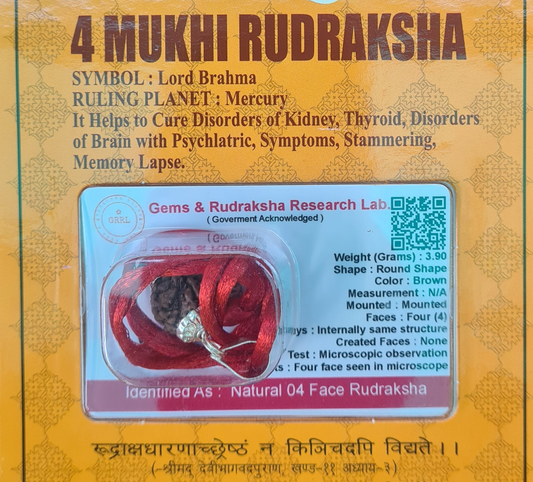 4 MUKHI RUDRAKSHA FOR CONCENTRATION & MEMORY