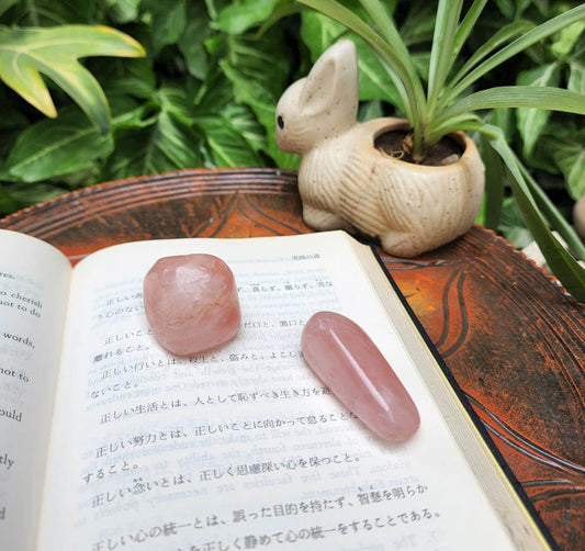 Rose Quartz Tumbles Duo For Positive Energy Flow