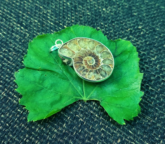 Ammonite Pendant For Karma Clearing