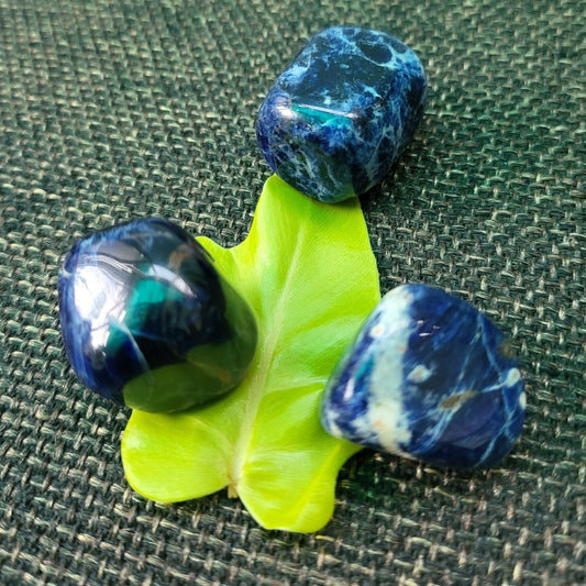 Sodalite Tumbles Duo For Strengthening Immune System - Dr. Neeti Kaushik's Shop